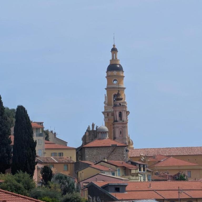 Villa Menton La Pomponette climatisée écrin de verdure a deux pas du centre - Maison 2 Chambres - 25