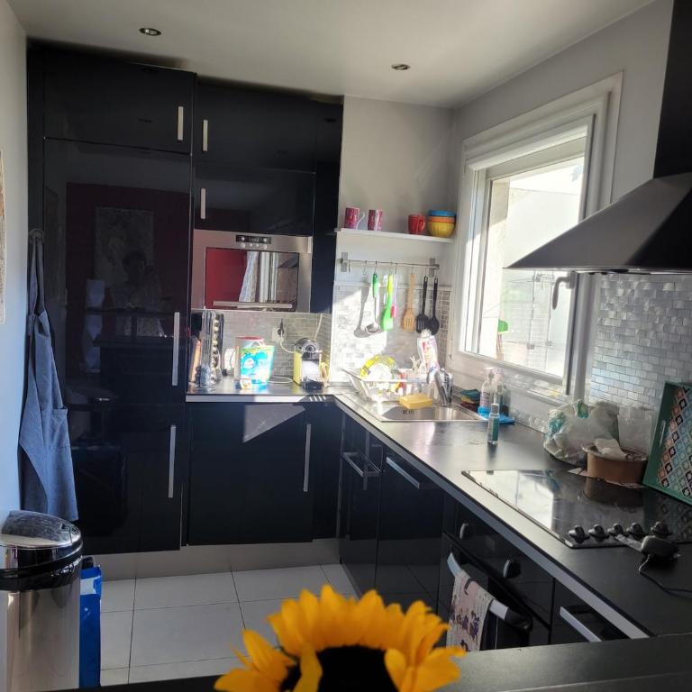 Charming 1 bedroom apartment in Montmartre - Appartement 1 Chambre - 3