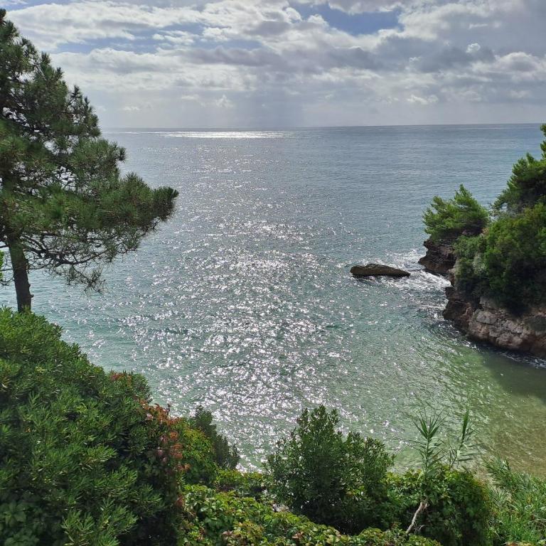 Aura Home - Apartamento de 2 dormitorios con vistas al mar - 19