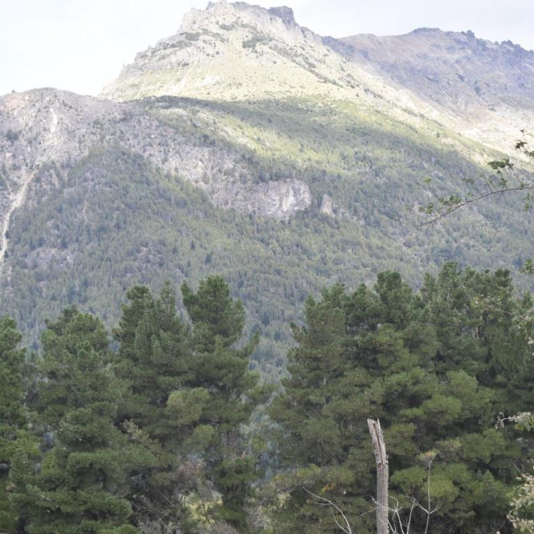 Camping El Paraíso - Apartamento de 1 dormitorio - 4