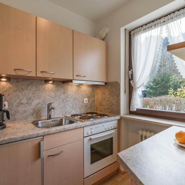 Ferienwohnanlage Oberaudorf C 2 mit Sauna - Apartment - 7
