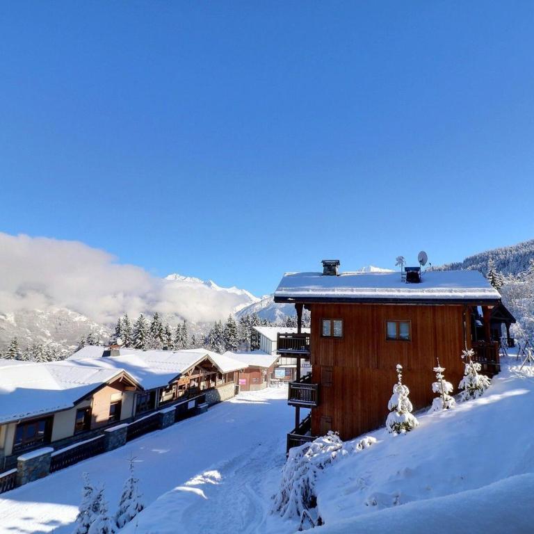 Appartement 2 Pièces + Cabine, Skis aux Pieds - FR-1-182A-7 - Appartement - 12