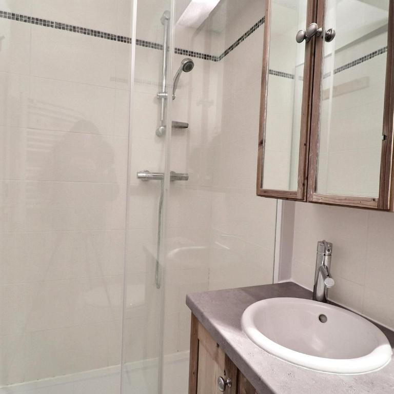 Confortable 2 Pièces + Cabine, Animaux Admis, Skis aux Pieds - FR-1-182A-11 - Appartement - 10