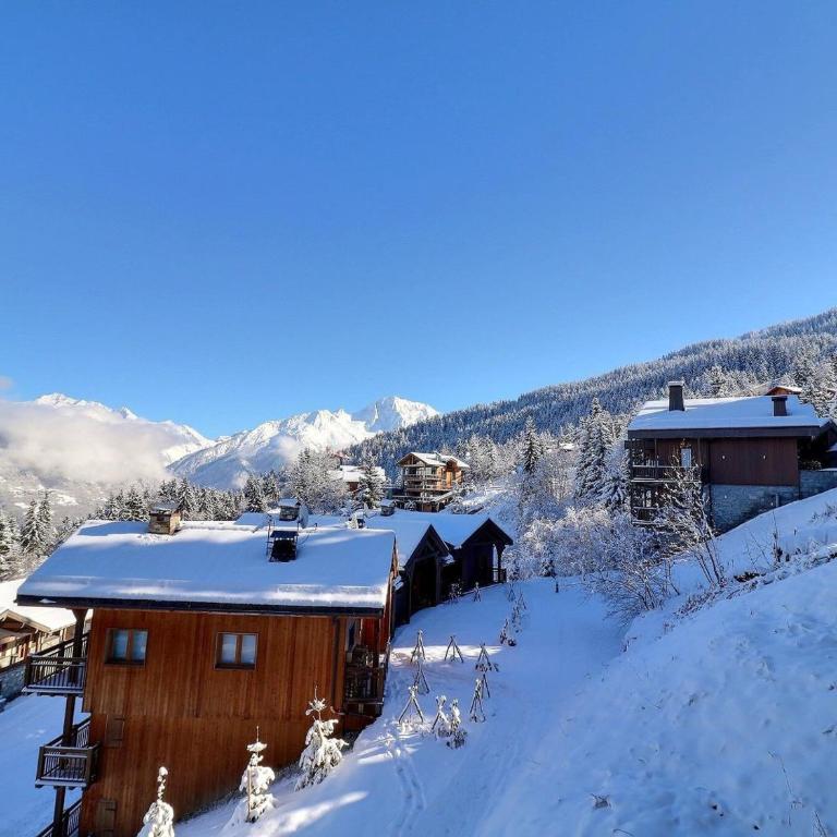 Confortable 2 Pièces + Cabine, Animaux Admis, Skis aux Pieds - FR-1-182A-11 - Appartement - 15