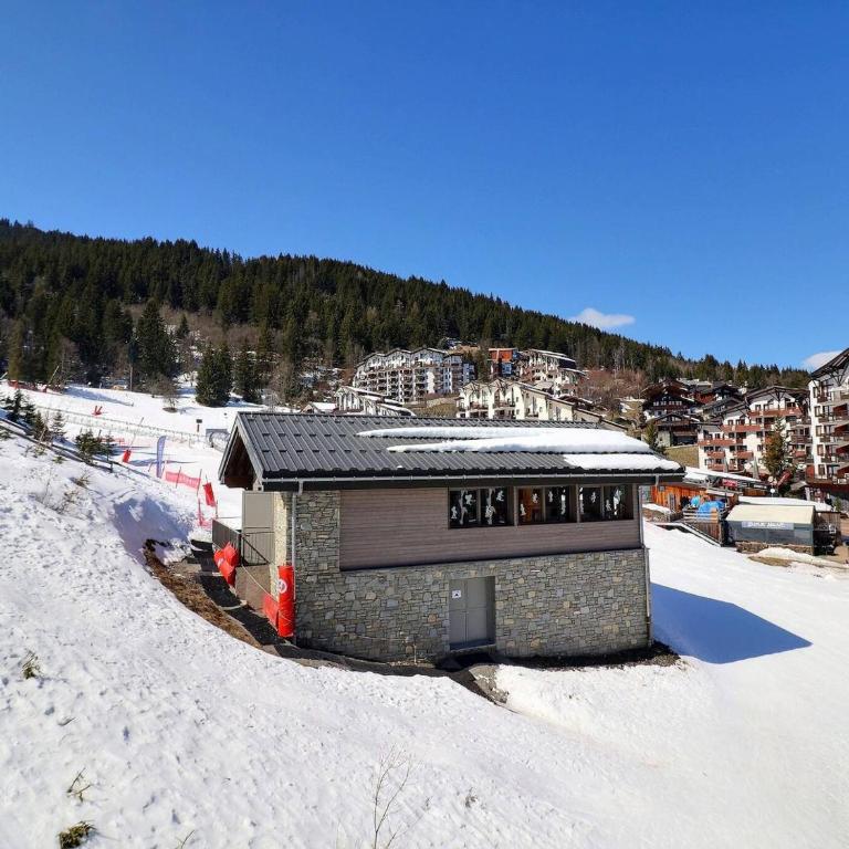 Confortable Appart 2 Pièces, Skis aux Pieds, Animaux Bienvenus - FR-1-182A-43 - Appartement - 11