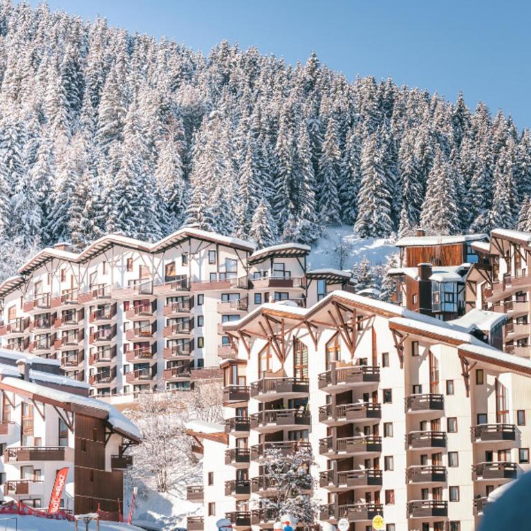 Confortable Appart 2 Pièces, Skis aux Pieds, Animaux Bienvenus - FR-1-182A-43 - Appartement - 14