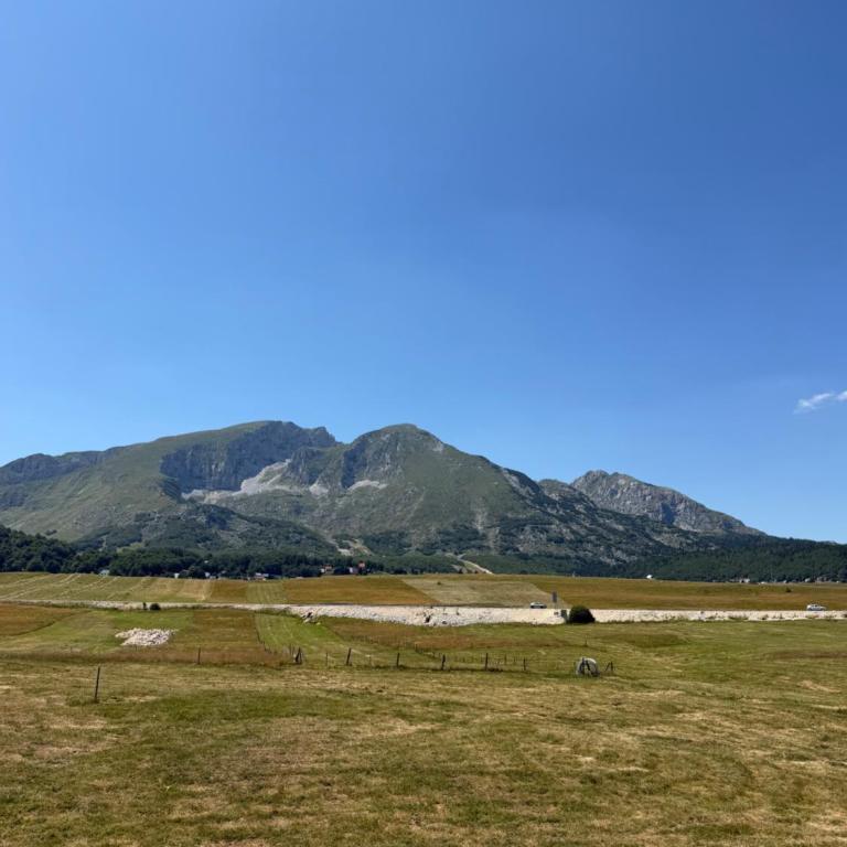 Durmitor Echo Lodge - Two-Bedroom Chalet - 74