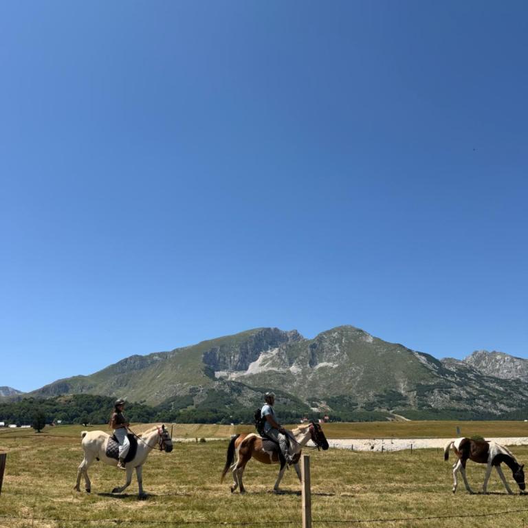 Durmitor Echo Lodge - Two-Bedroom Chalet - 75