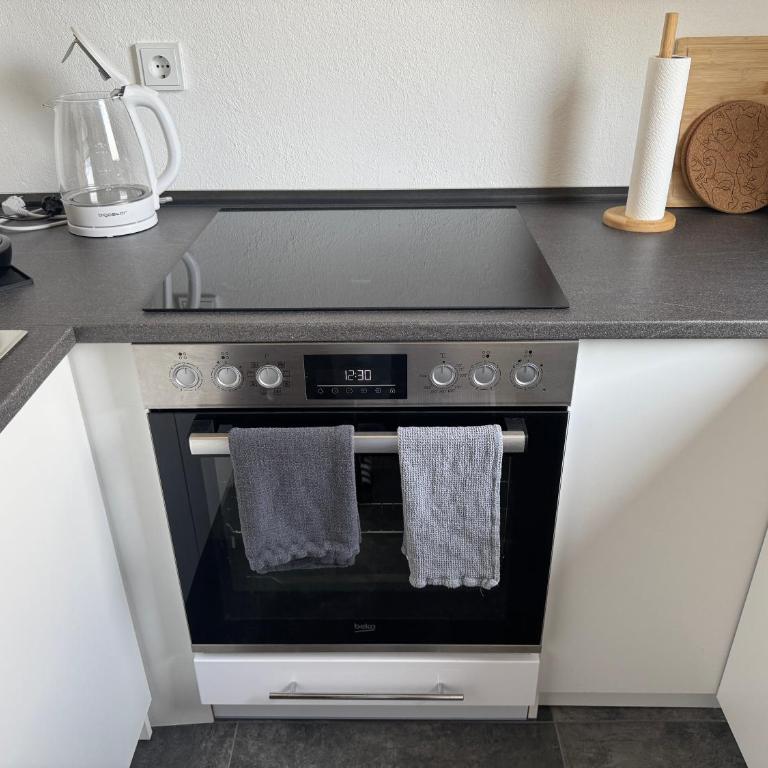 Gemütliche Renovierte Ferienwohnung im Allgäu - Apartment mit 1 Schlafzimmer - 15