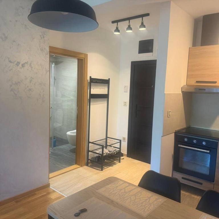 Apartman Mountain Harmony Zlatibor - One-Bedroom Apartment - 10