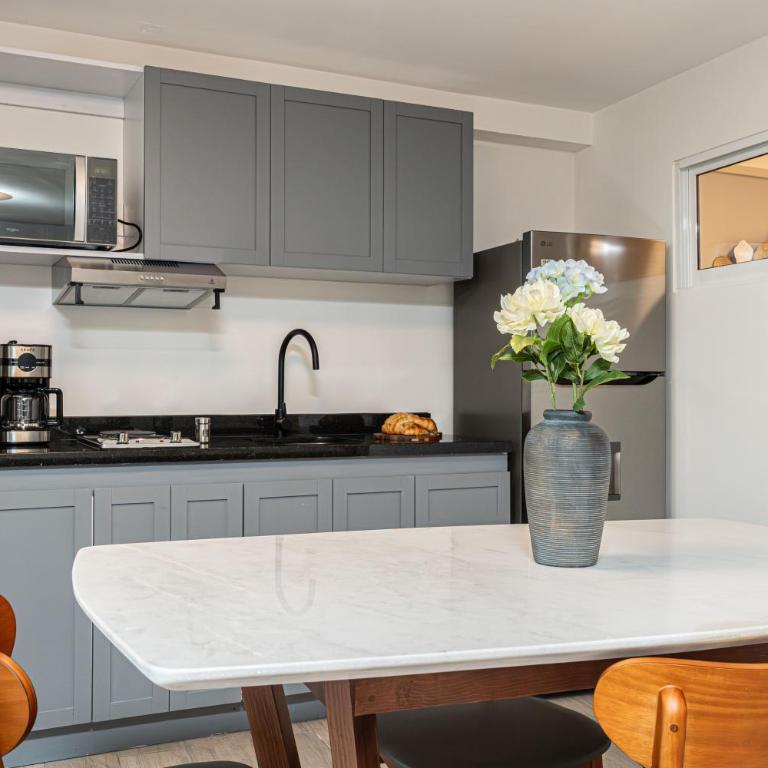 Homero 538: Apartamentos Equipados en Polanco - Superior Apartment mit 2 Schlafzimmern - 15