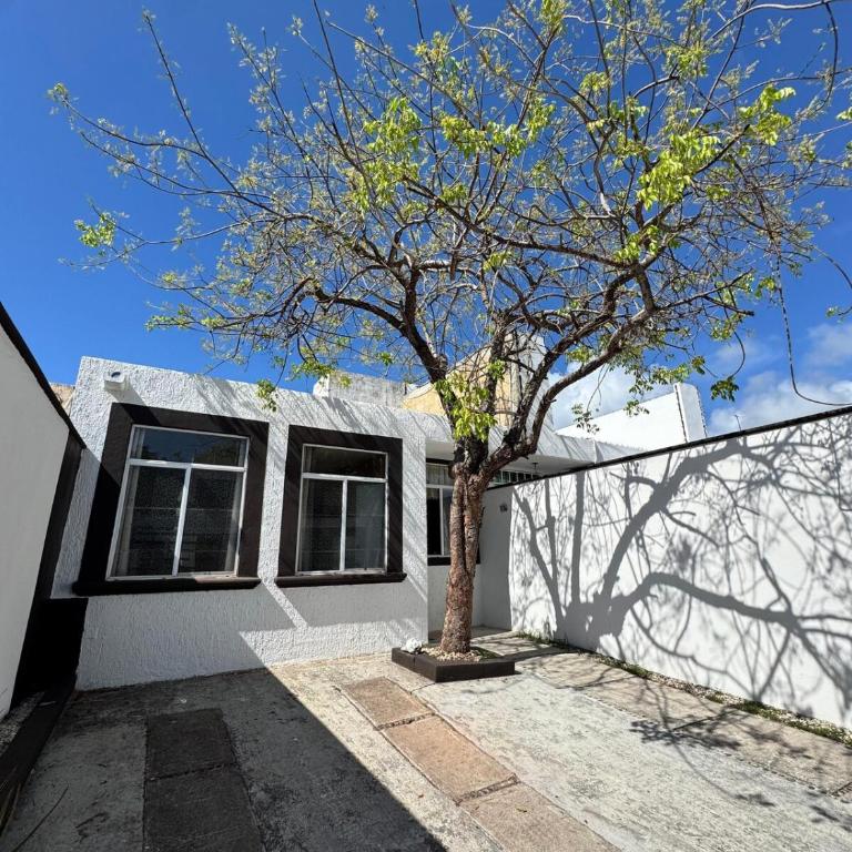 Beautiful, Comfortable Mexican-Style House - Two-Bedroom House - 18