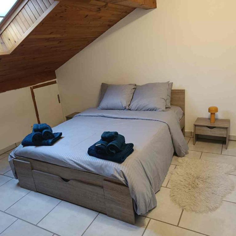Charming Two-Room Apartment - Large Living Room & Kitchen - Appartement 1 Chambre - 3