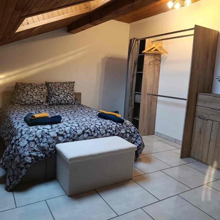 Charming Two-Room Apartment - Large Living Room & Kitchen - Appartement 1 Chambre - 5