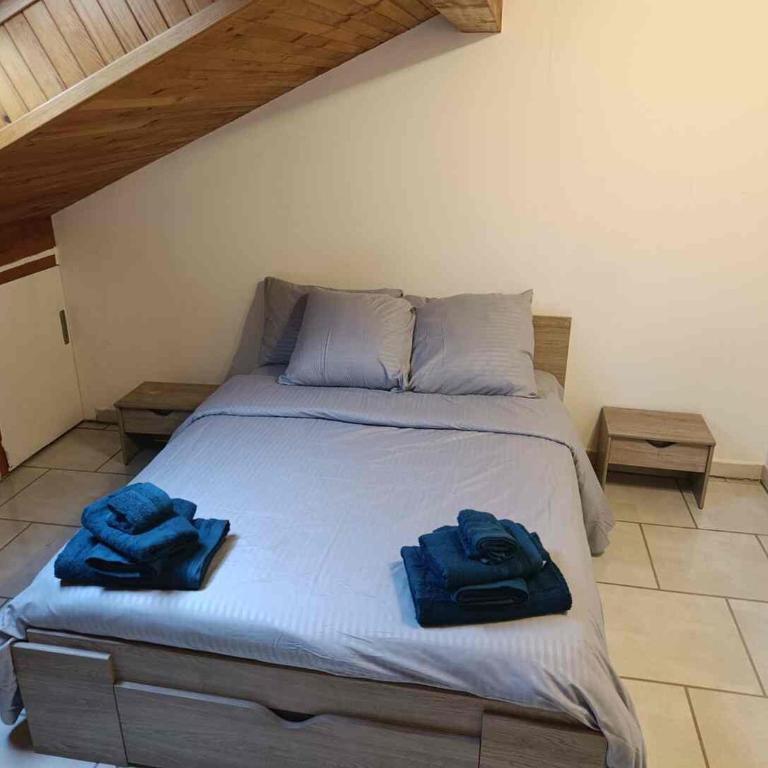 Charming Two-Room Apartment - Large Living Room & Kitchen - Appartement 1 Chambre - 2