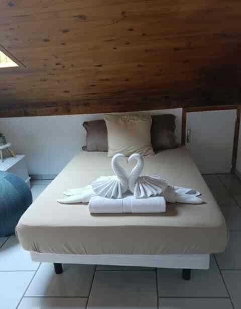 Charming Two-Room Apartment - Large Living Room & Kitchen - Appartement 1 Chambre - 7