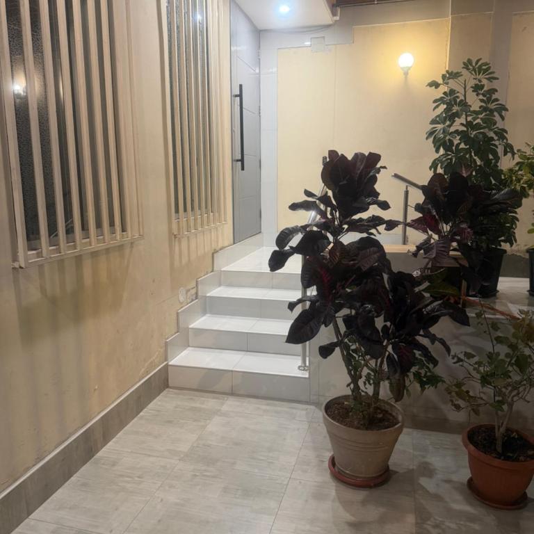 Private Entire Apartment Your Home Away From Home - Apartamento de 1 dormitorio - 43