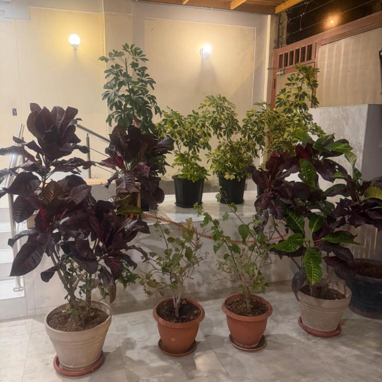 Private Entire Apartment Your Home Away From Home - Apartamento de 1 dormitorio - 57