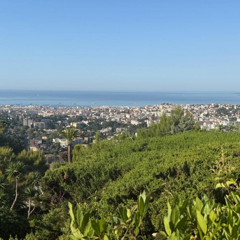 Villa Antipode - Villa - 9