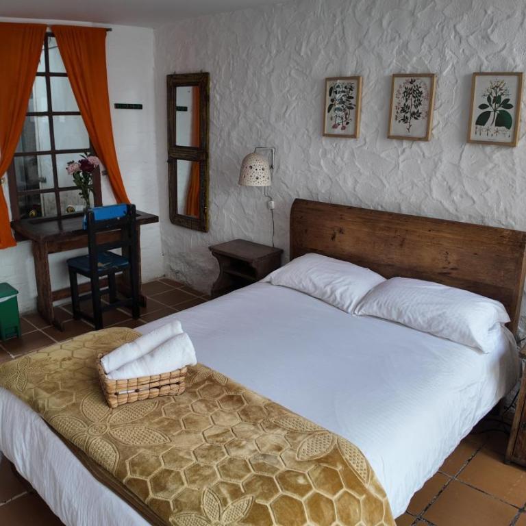 Botanico Hostel - Suite con terraza - 1
