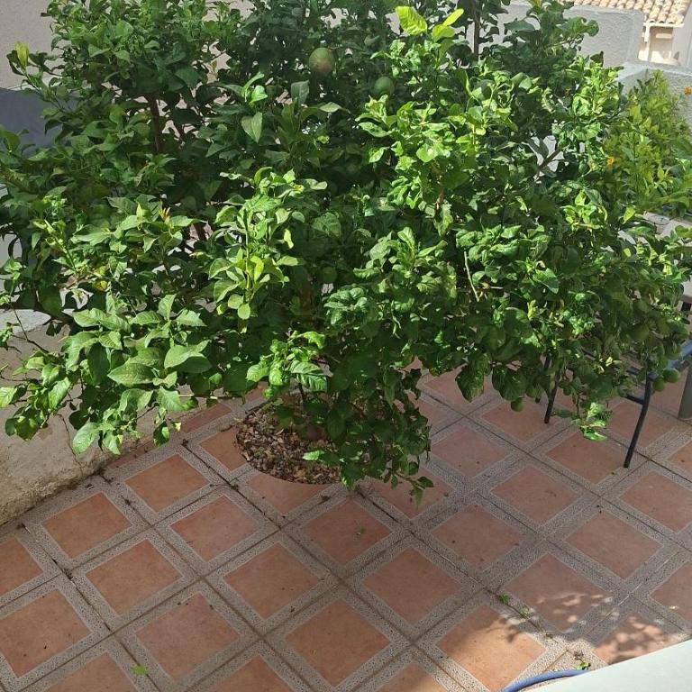 Home Aqma- Hilltop- stunning view of Golf Club La Marquesa - Maison 2 Chambres - 30