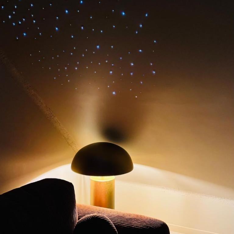 Mission Mars Suite de Luxe Jacuzzi Ciel Étoilé - Apartment mit 1 Schlafzimmer - 14