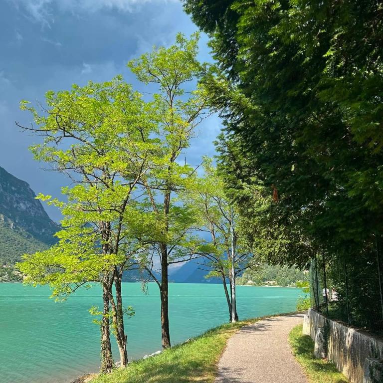 lake idro castle view - Appartamento con 2 Camere da Letto - 51