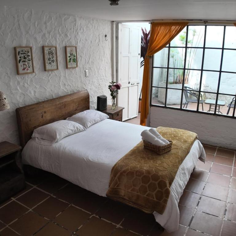 Botanico Hostel - Suite con terraza - 6