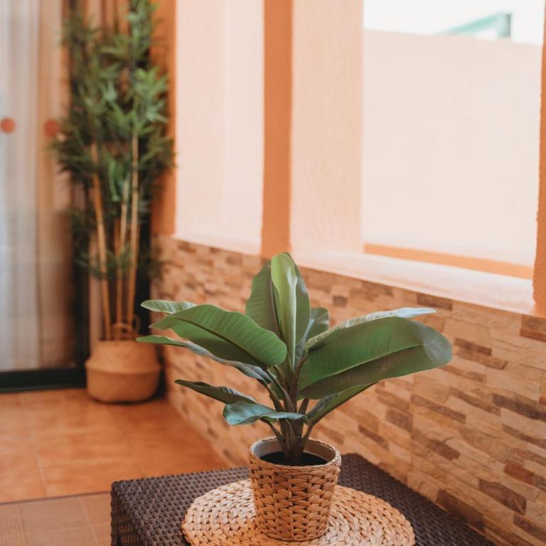 Terrazas de La Paz Holiday beach house (Free Wi-fi) - Appartamento con 1 Camera da Letto - 88