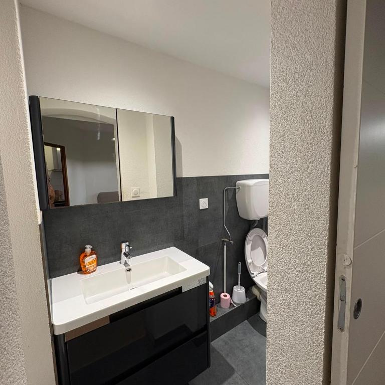 Bes Appart City - 40 m2, centre-ville, rénové - Appartement 2 Chambres - 12