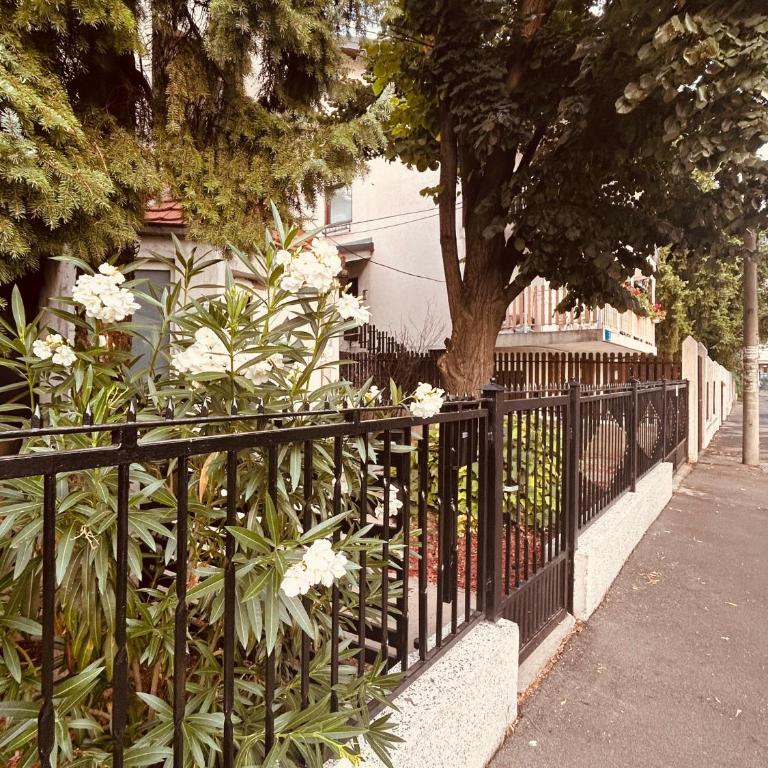 Modern studio, near shopping mall Stadion - Deluxe Doppelzimmer - 34