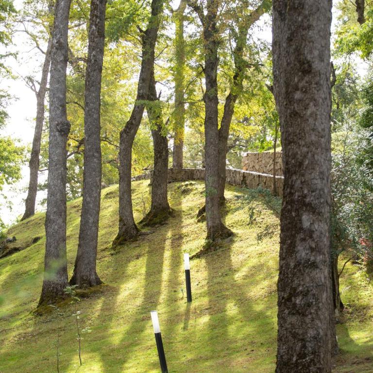 Paihuen - Apart 1 Dormitorio con vista al Bosque - Casa con 1 dormitorio - 23