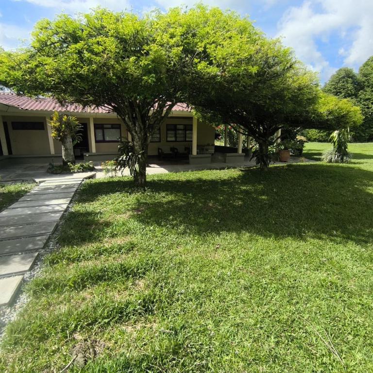 Alto Luna casa de campo - Casa de 4 dormitorios - 1