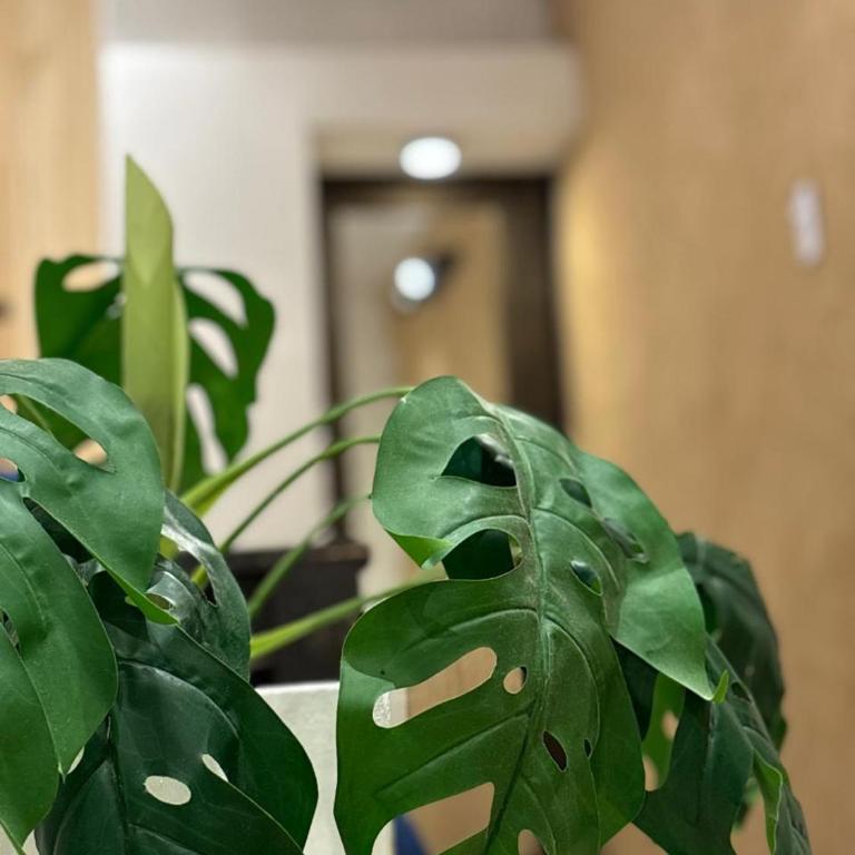 Alunizaje loft Ezeiza cerca del Aeropuerto - Apartamento de 1 dormitorio - 1