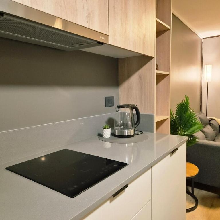 Suite Boutique con Estacionamiento Metro Toesca - One-Bedroom Apartment - 15