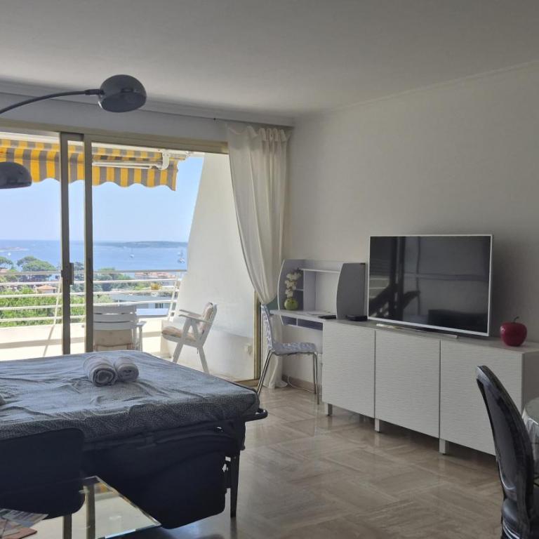 Les Orangers - Cannes - Sea View- Swimming Pool - Free Parking - Beach - Appartamento con 1 Camera da Letto - Lato Mare - 29