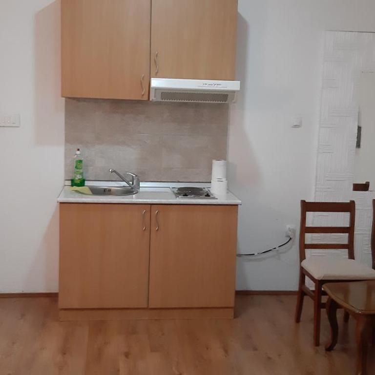 Gavro 2 - Apartman sa 1 Spavaćom Sobom - 4