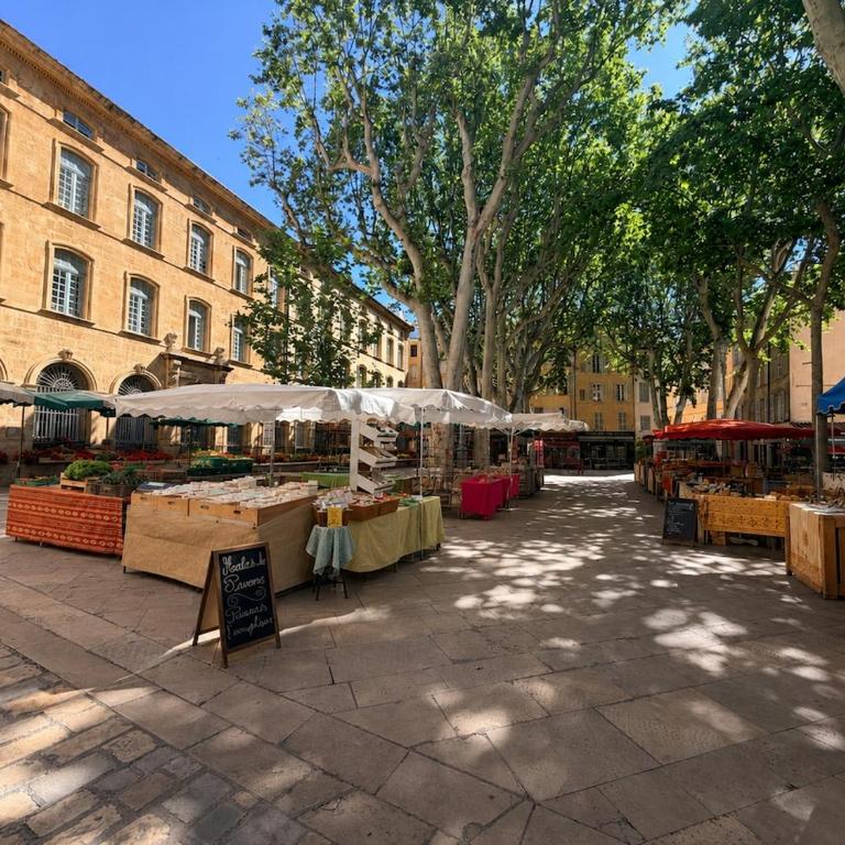 Aix-en-Provence - Very central - Unique place - Garden Cathedral - Apartamento de 2 dormitorios - 9