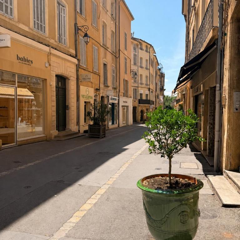 Aix-en-Provence - Very central - Unique place - Garden Cathedral - Apartamento de 2 dormitorios - 27