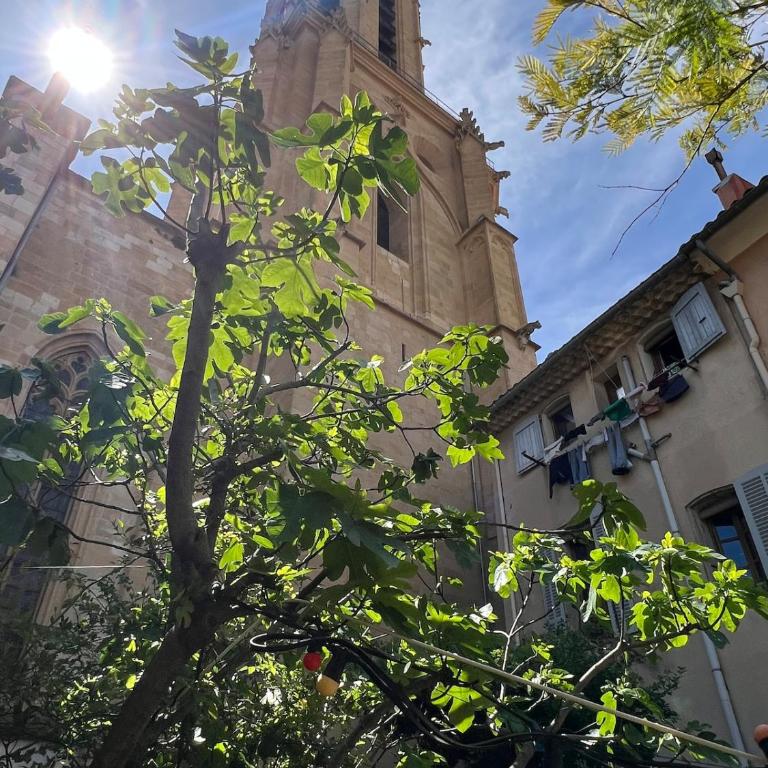 Aix-en-Provence - Very central - Unique place - Garden Cathedral - Apartamento de 2 dormitorios - 33