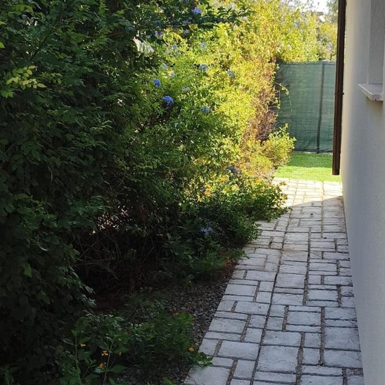 Milly house - Casa Vacanze - 42