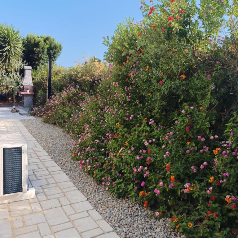 Milly house - Casa Vacanze - 46