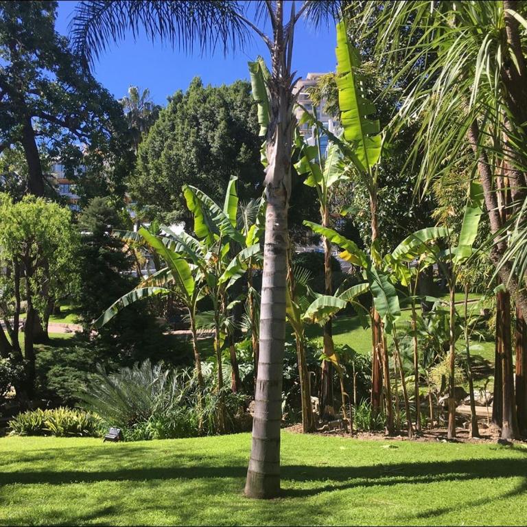 Villa pour 12 personnes à Roquebrune-Cap-Martin - Ferienhaus - 25
