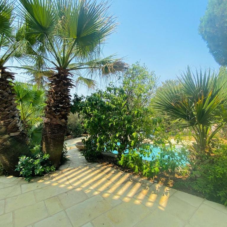 Sumptuous Villa Exceptional View Swiming Pool - Villa - 66