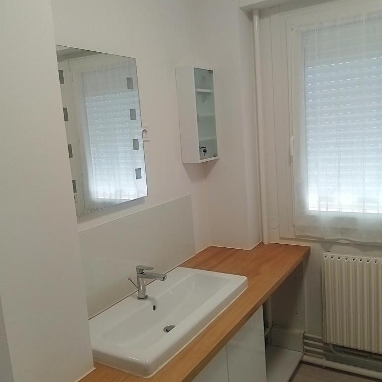 Appartement 2 pièces lumineux Le Mans centre - Apartment mit 1 Schlafzimmer - 2