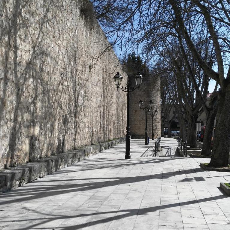 Apartamento La Muralla parking gratis - Apartamento - 21