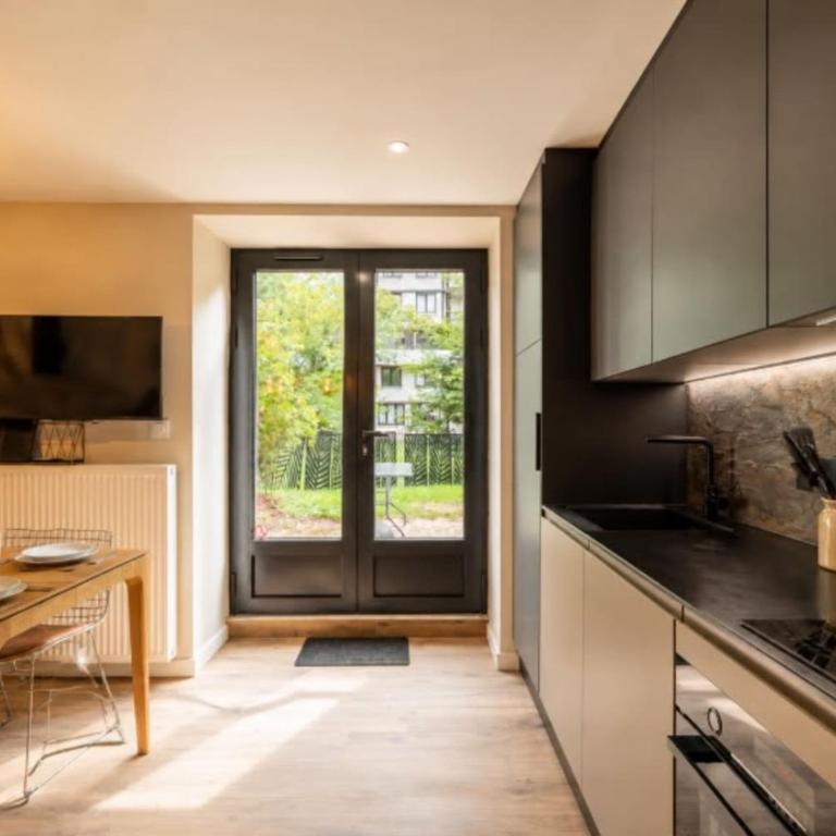 Studio avec terrasse plein sud et vue Mont-Blanc - Appartement - 2