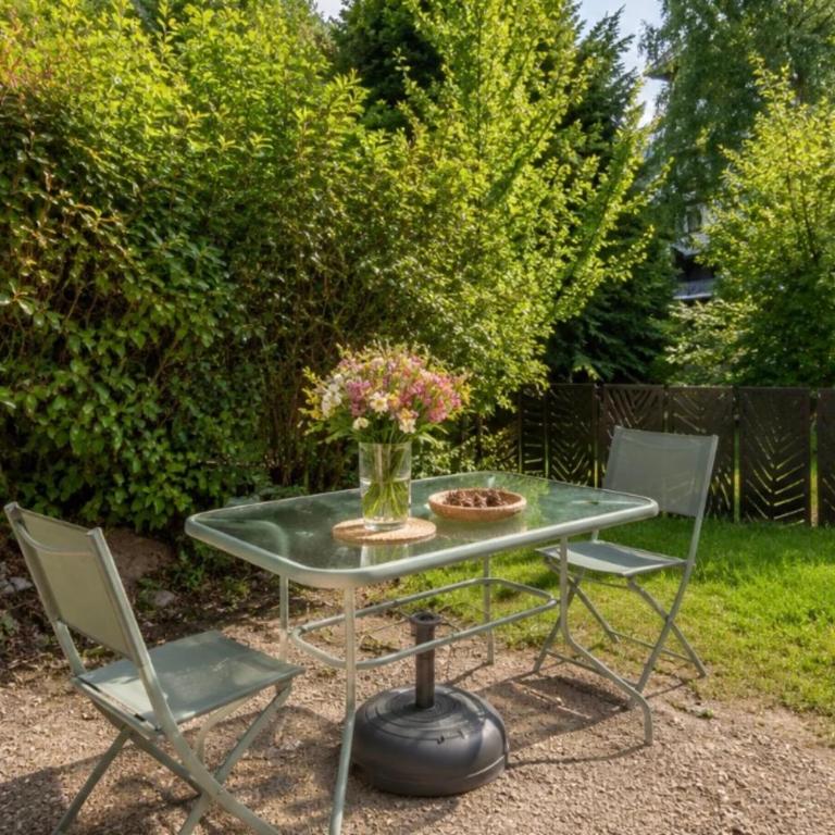 Studio avec terrasse plein sud et vue Mont-Blanc - Appartement - 1