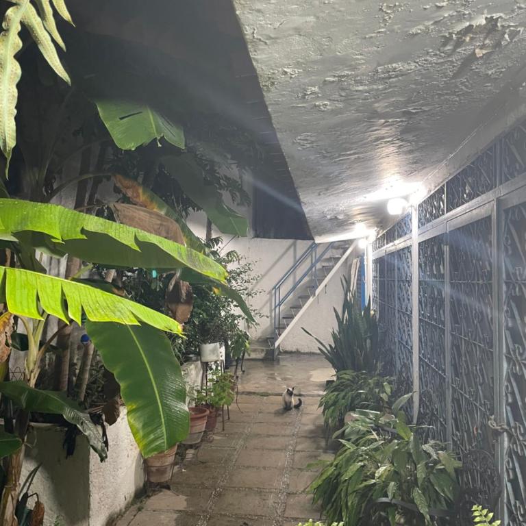 La Casita de Betty - Apartamento de 1 dormitorio - 11