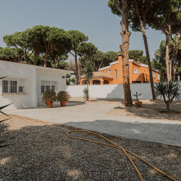 Villa Los Gallos - Three-Bedroom Home - 24